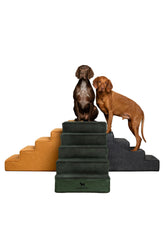 NOAH & PAW dog stairs 20-wide front view for stable bed access
