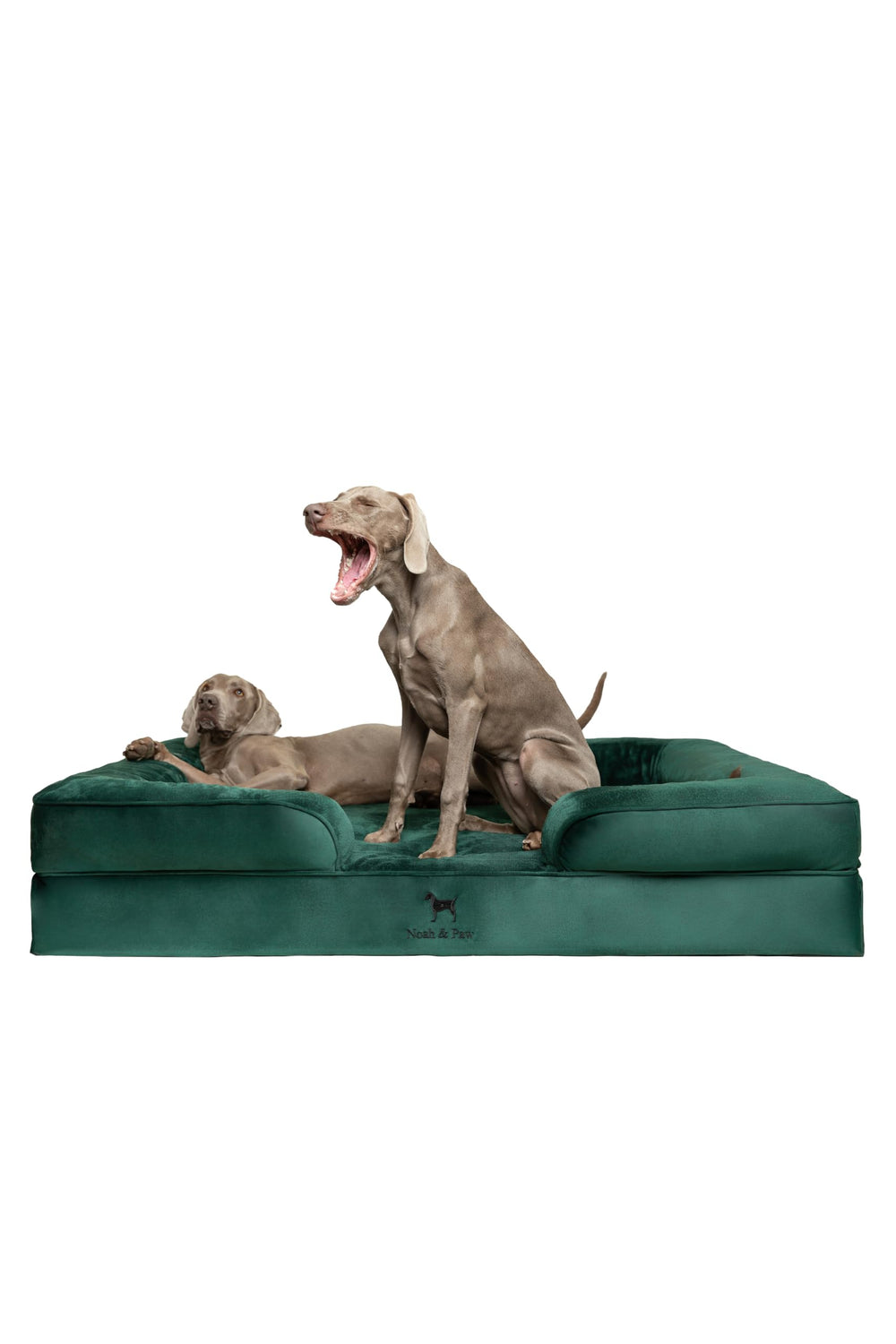 NOAH & PAW giant dog bed XXL top view with spacious sleep area for large dogs