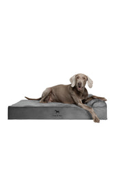 NOAH & PAW XL dog bed with orthopedic memory foam for joints.
