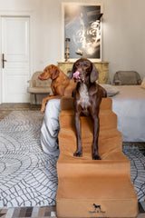 NOAH & PAW five-step leather stairs for bed, stable climb for high furniture.