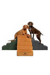 NOAH & PAW dog stairs front view showing luxurious leather finish and plush steps.