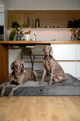 NOAH & PAW memory foam layers close-up with cooling gel for temperature balance