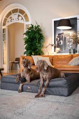 NOAH & PAW giant dog bed inner cover shown to protect foam and layers.