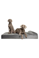 NOAH & PAW Giant Dog Bed XXL full setup for large dogs with orthopedic support