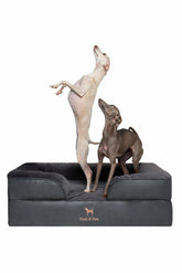 NOAH & PAW large dog bed in angled view shows sturdy orthopedic design for bigger dogs