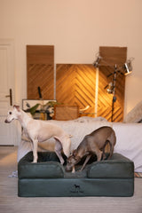 NOAH & PAW inner cover protects foam and adds washability.