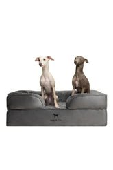 NOAH & PAW Large Dog Bed lifestyle shot highlighting roomy comfort for large breeds