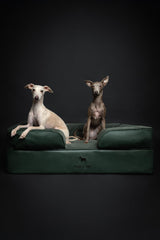 NOAH & PAW memory foam core with layered comfort and support.