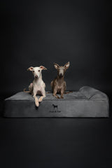 NOAH & PAW memory foam eggshell cooling gel closeup demonstrates temperature regulation.