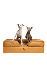NOAH & PAW large dog bed top view shows roomy space for big dogs