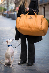 NOAH & PAW memory foam padding keeps pets comfy on long trips.