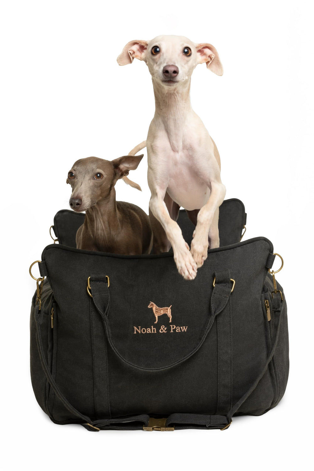 NOAH & PAW small dog car seat front view with secure harness clip for safe travel