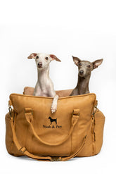 NOAH & PAW small dog car seat with harness clip for safer travel.