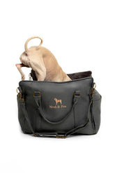 NOAH & PAW car seat with clip-on leash secures small dogs during car rides.
