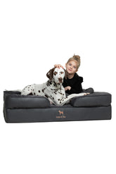 NOAH & PAW XL dog bed with eggshell memory foam for large dogs' comfort