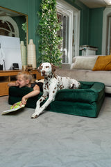NOAH & PAW XL inner cover protects foam while remaining removable for washing.