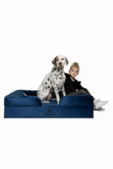 NOAH AND PAW XL dog bed with memory foam and cooling gel for joint comfort