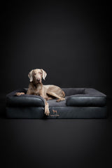 NOAH & PAW XL orthopedic support promotes joint-friendly lounging