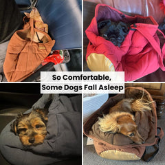 NoblePup harness clip keeps the small dog secure during excursions