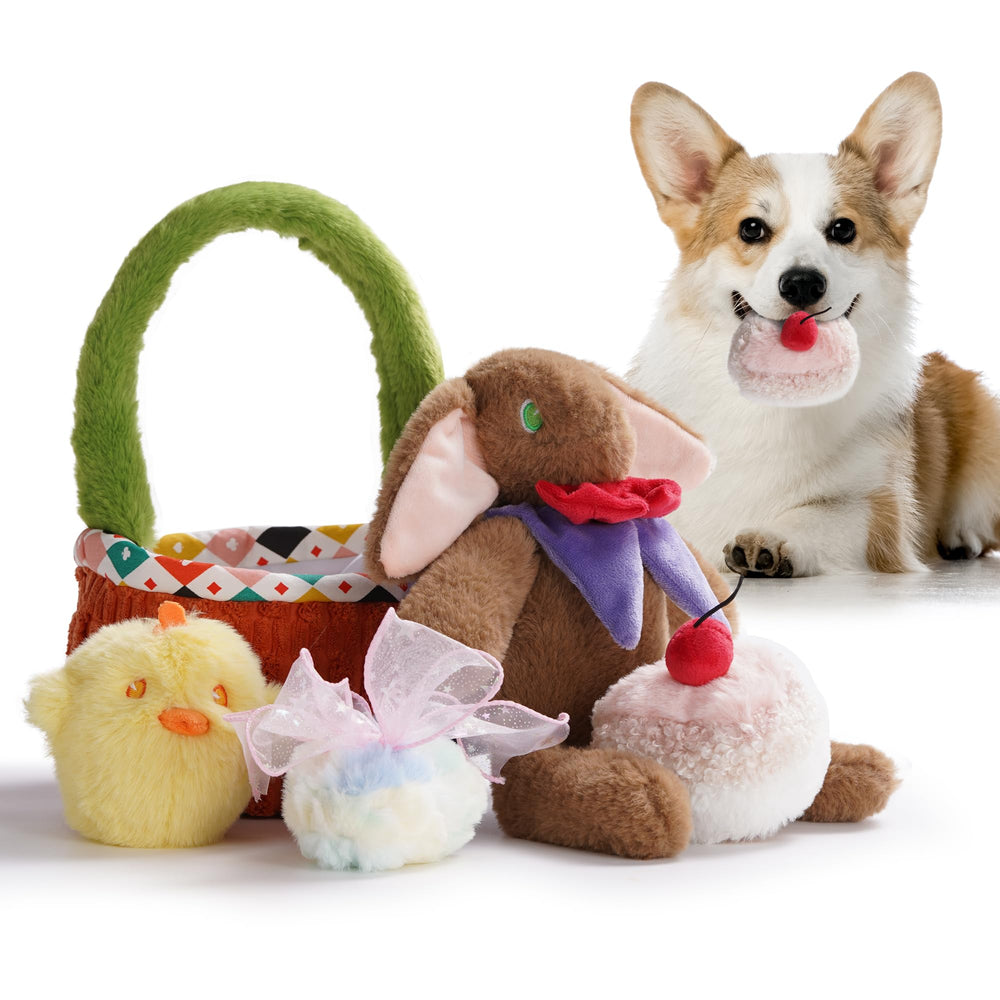 Nocciola Basket rabbit plush toy with squeaker for interactive play and bonding