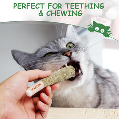 Close-up of Nocciola catnip toy highlighting pure organic nip texture.