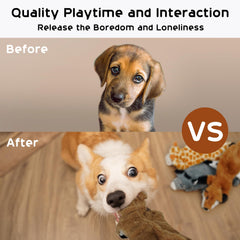 Nocciola squeaker inside head and tail stimulates curious dogs