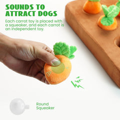 Nocciola hide-and-seek carrot pockets inviting treats and exploration.