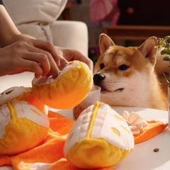 Nocciola puzzle toy features food hiding pockets to reward sniffing and problem solving.