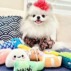 Nocciola squeaky sushi toy stored in bag, keeps playthings organized after use.