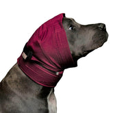 No Flap ear wrap front view in red pinpoint mesh for secure fit and natural ear position.