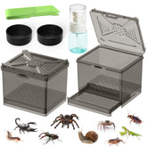 Nomoy Spider Habitat Kit top view shows compact ready-to-use design
