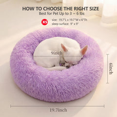 Nononfish bed arrival vacuum packed expanding to fullness within 24-48 hours.