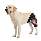Noorace dog knee brace close-up shows adjustable straps for secure hind leg support.