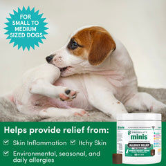 Nootie Progility Mini package showing daily dosing for seasonal allergy care.