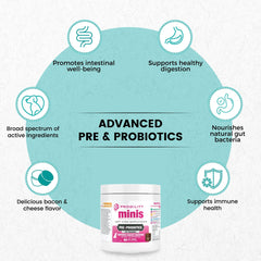 Nootie Progility Mini soft chews aid canine digestion