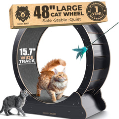 Nordic Beast 48'' XL cat wheel front view with spacious running space for large cats