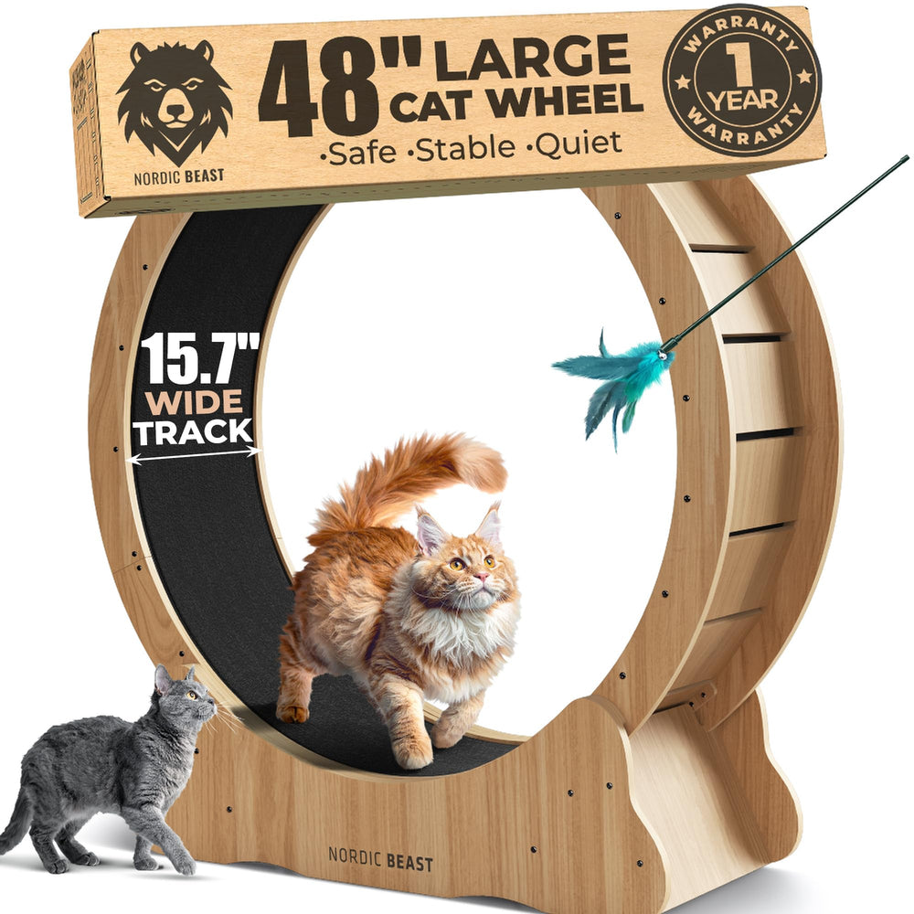 Nordic Beast Walnut Wood 48'' cat wheel offers a safe indoor exercise surface