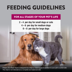 Northwest Naturals grain-free beef heart treats for dogs and cats.