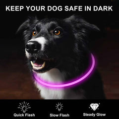 Novkin LED dog collar pink offers bright light for easy nighttime spotting