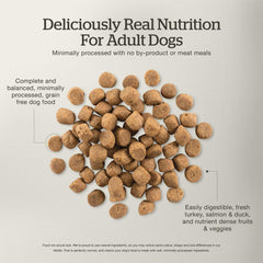 Now Fresh digestive health features probiotics and fiber-rich ingredients for steady digestion.