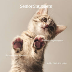 Now Fresh Senior kibble in bowl, appeal for picky eaters