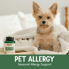 Quercetin ingredient detail in NOW Pets blend for pet wellness.