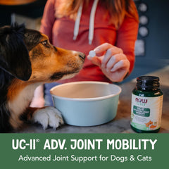 NOW Pets UC-II bottle on shelf communicates veterinarian-formulated care for pets