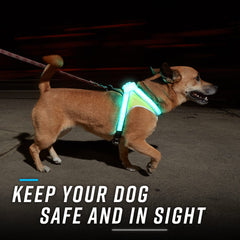 Noxgear LightHound provides 360-degree visibility from all angles during dusk.
