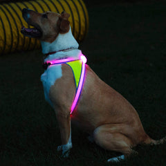 Noxgear LightHound water-resistant fabric endures rain during outdoor adventures