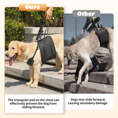 NOYAL dog lift harness post-surgery rehab supports safer assisted movement