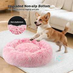 NOYAL bed demonstrates waterproof non-slip base to protect floors.