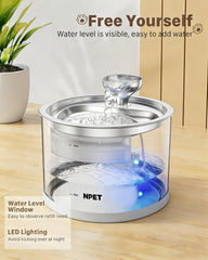 NPET N280 ultra quiet pump keeps hydration peaceful