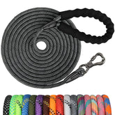NTR Long Dog Leash 50ft in action for controlled, comfortable walks.