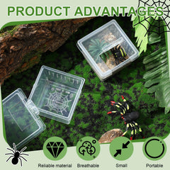 Ventilation holes in Nuanchu terrarium promote airflow in safe enclosures